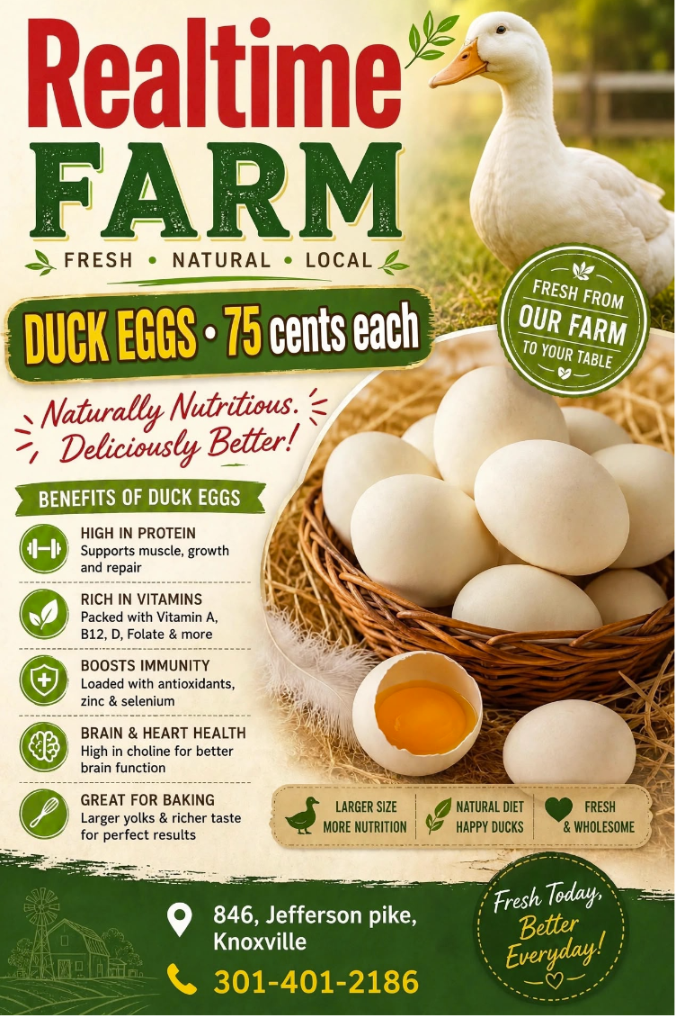 Duck Eggs