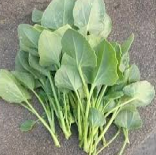 Chukka kura/ Indian sorrel