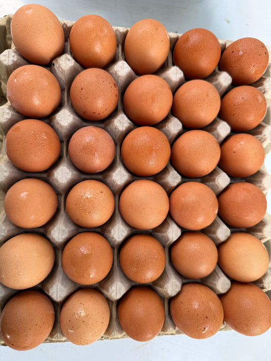 Organic Eggs
