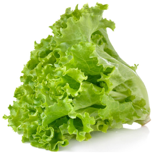 Iceburg lettuce