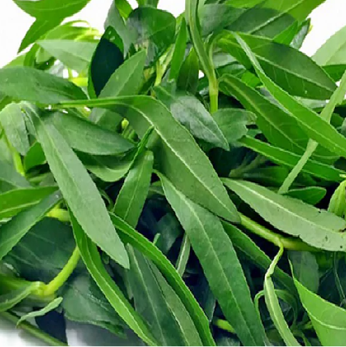 Ponnaganti (Water Amaranth)